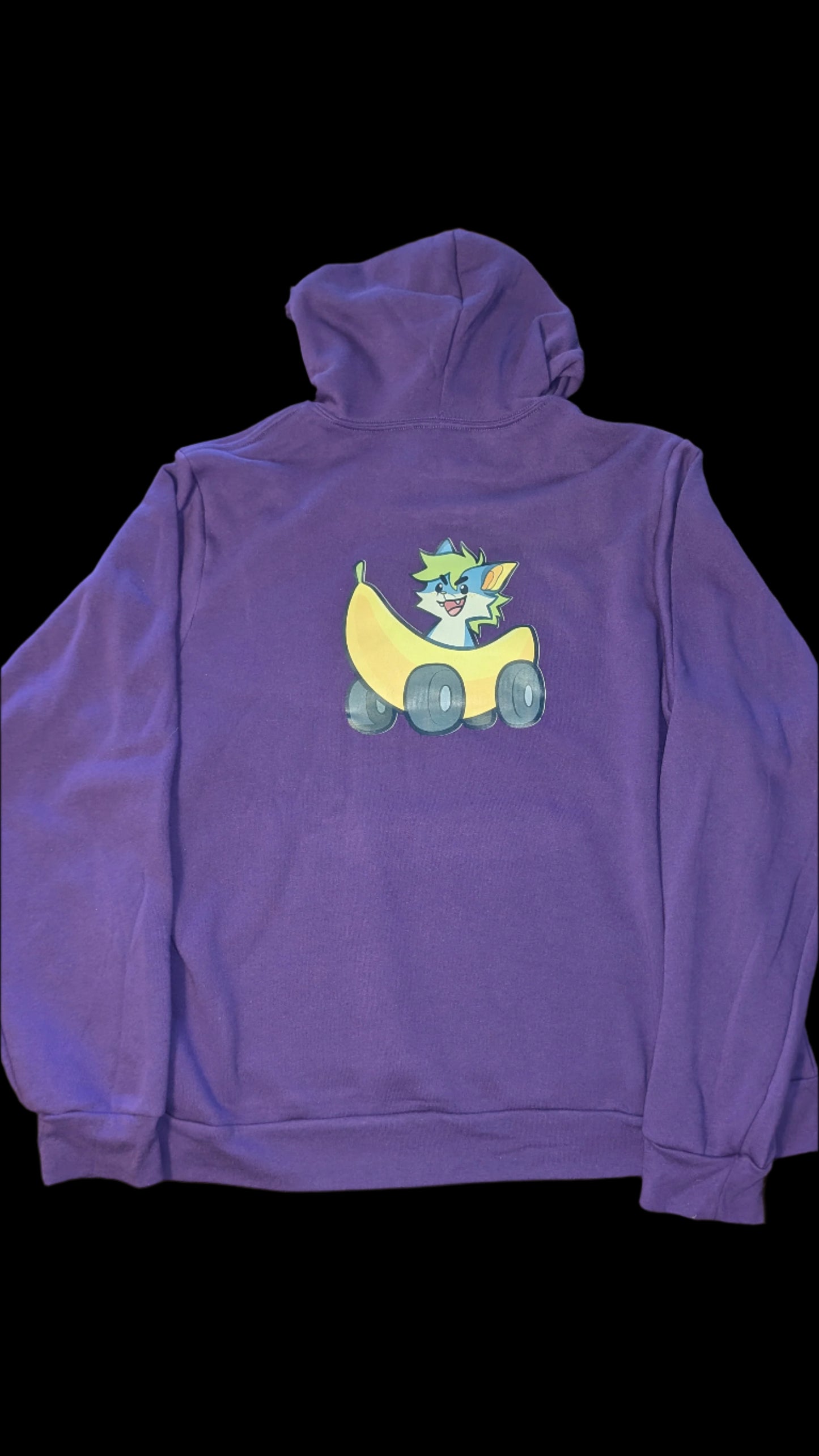 Zal Hoodie